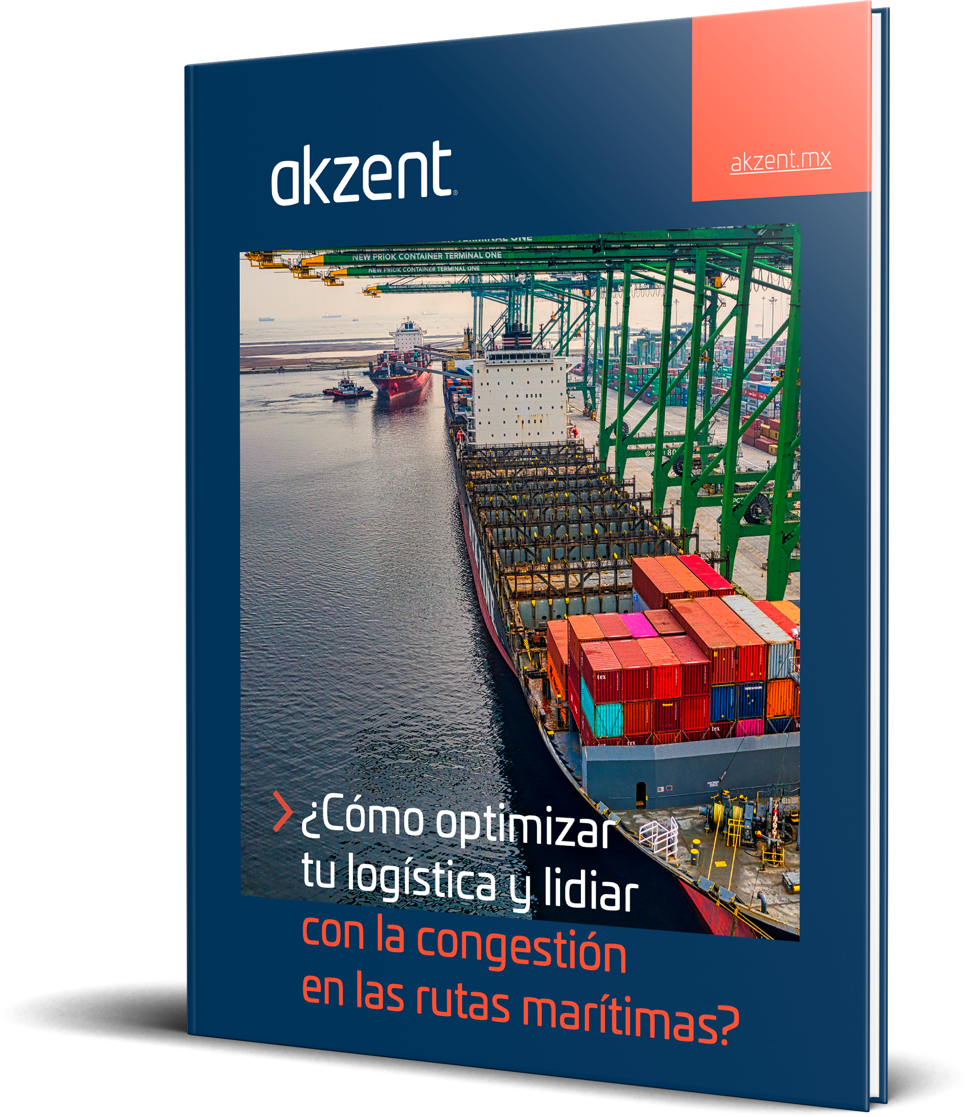 Cómo optimizar tu logística y lidiar con la congestión en las rutas marítimas