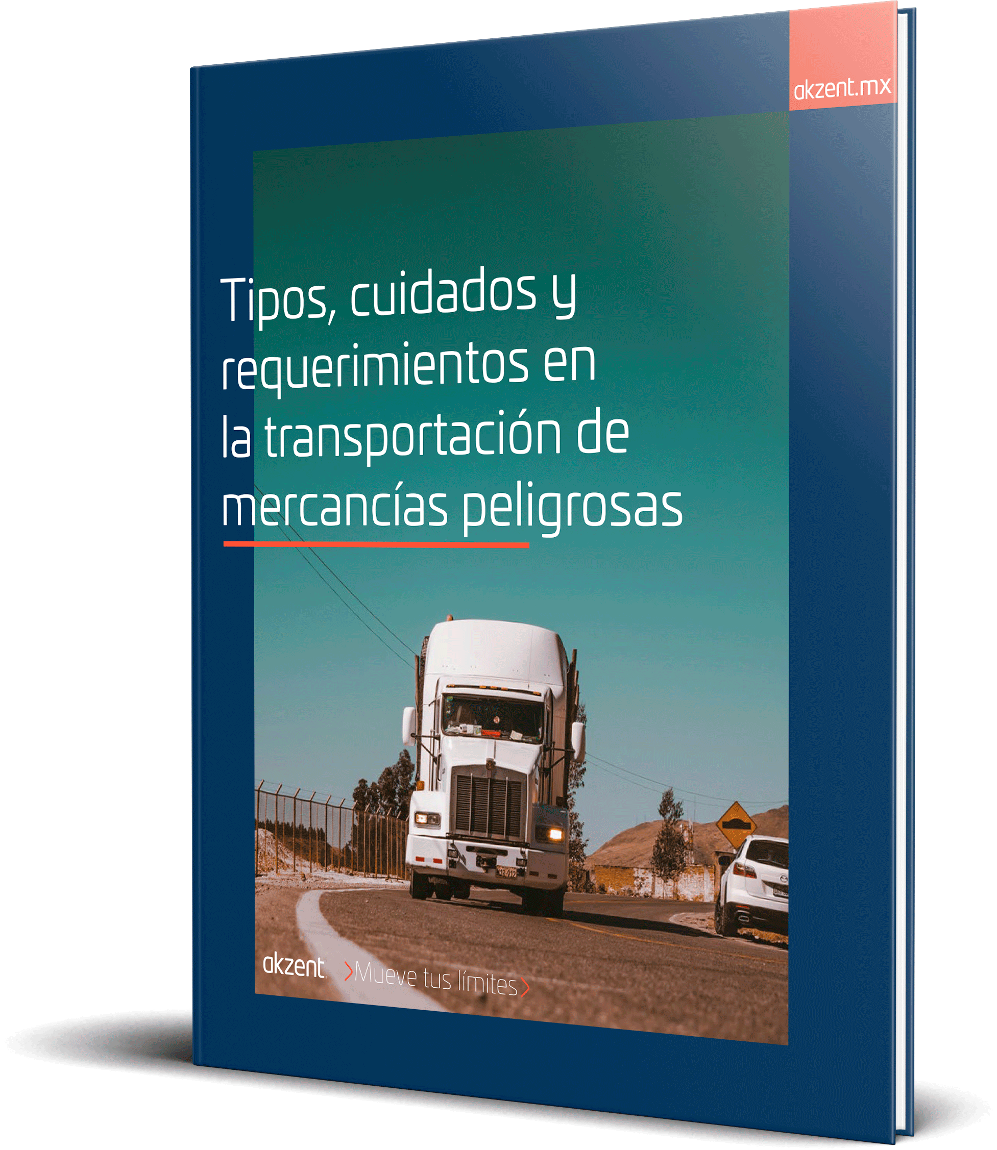 Tipos, cuidados y más en la transportación de mercancías peligrosas